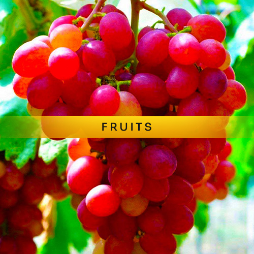 naija home food fruits categrory naija home food fruits categrory